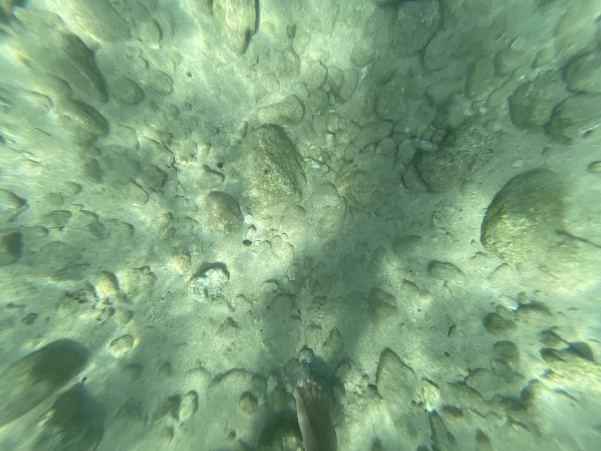 Stones and feet underwater